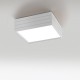 Artemide Groupage