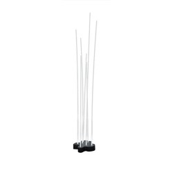 Artemide Reeds